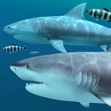 Акулы 3D - Живые обои