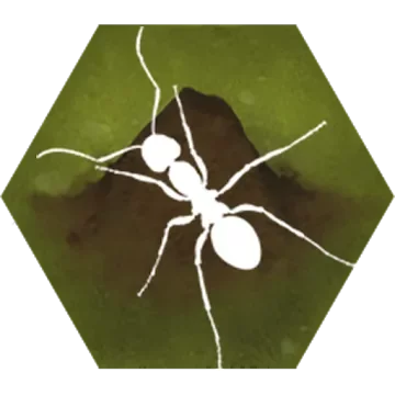 Finally Ants