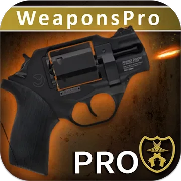 Конечной Симулятор Оружие Pro