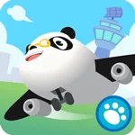 Аэропорт Dr. Panda