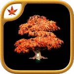 Fire Maple Games Collection