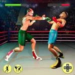 Ninja Punch Boxing Fighter Kung Fu Combat World