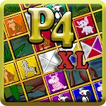 Passage 4 XL
