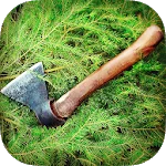 Survivor On Island